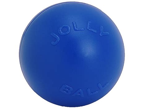 Jolly Pets 14-Inch Push-n-Play, Blue : Amazon.in: Pet Supplies