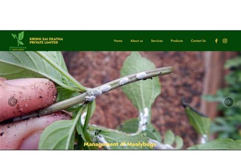 Projects – Prodigy Systech