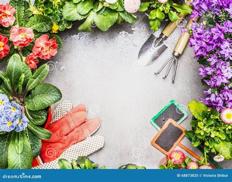Gardening Frame with Garden Tools , Fresh Lovely Garden Flowers in Pots ...