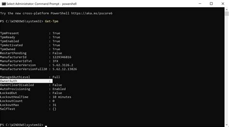 BitLocker TPM 的图像结果