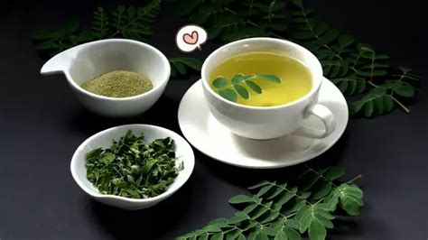 teh daun kelor manfaat