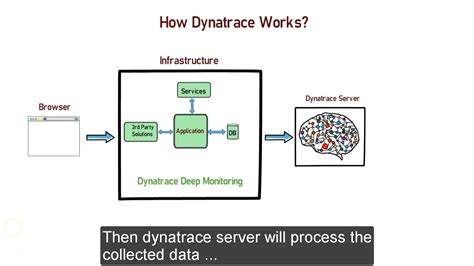 Image result for How dynaTrace Works