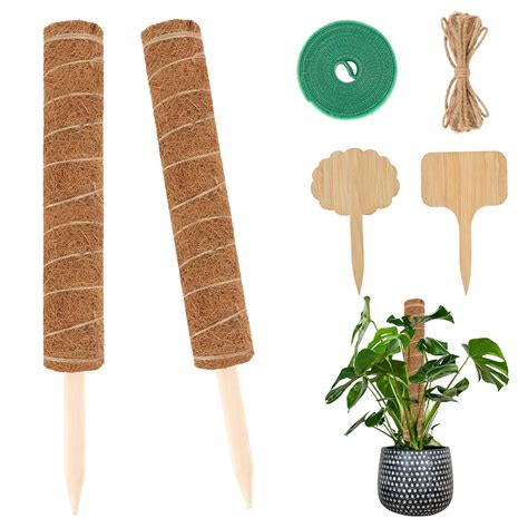 Buy Whonline 2pcs 17inch Moss Poles Coir Poles for Climbing s Indoor, s ...