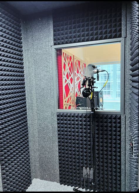 Booth Recording Example 的图像结果