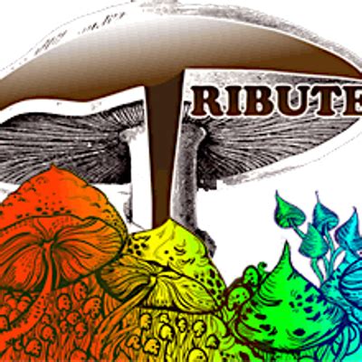 TRIBUTE - A celebration of The Allman Brothers band, Coach's Corner ...
