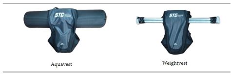 Effects of Dynamic Stability Training with Water Inertia Load on Gait ...