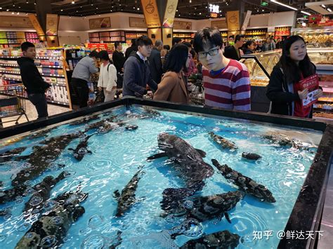 超市海鲜池实例-北京海鲜池设计制作-北京比特福海鲜池销售有限公司