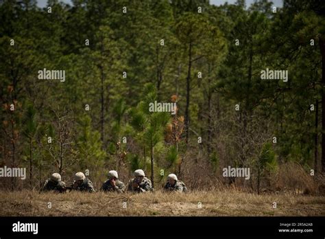 Basic Combat Training 的图像结果