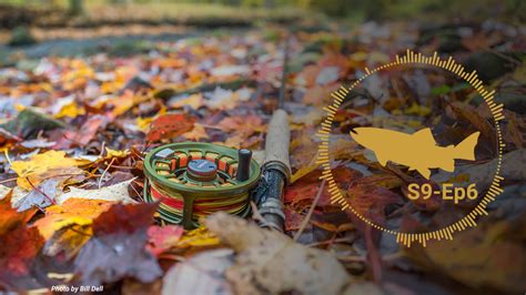 PODCAST: Different Mono Rigs and Euro Rigs - What Works, When and Why ...