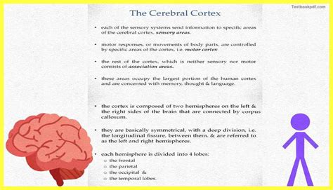 Image result for Cortex-R Vector Table