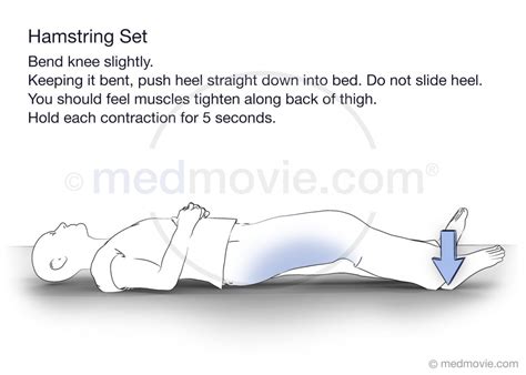 Hamstring Setting 的图像结果