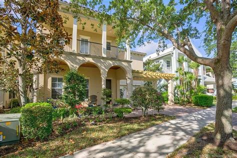 Image result for Tulip Tree CT