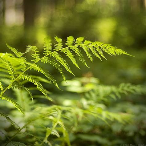 rgb led photography lighting