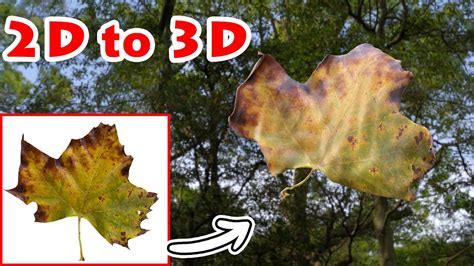 Image result for Tutorial Picture to 3D Object