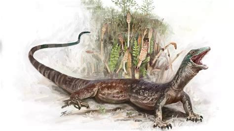 167-million-year-old fossil of Breugnathair elgolensis reveals how ...