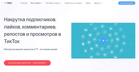 Как накрутить подписчиков Тик Ток: ТОП 11 сервисов + моя схема в 2024 году