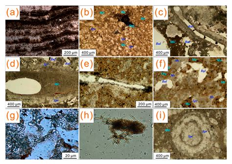 Insights into Alpine-Karst-Type Tufa Deposits in Geological ...
