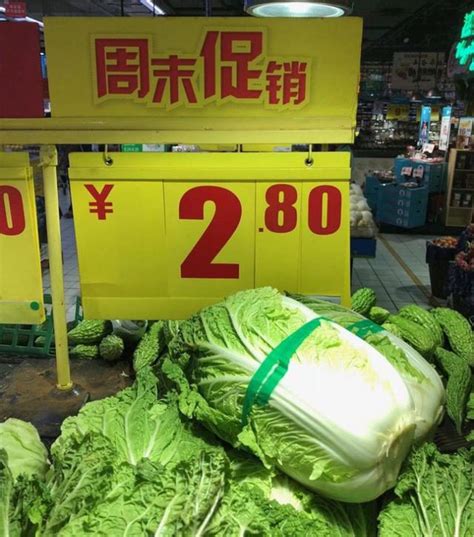 白菜批发价最低2毛一斤，官媒发声：须防“菜贱伤农”！