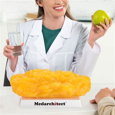 Snapklik.com : Authentic Human Body Fat Replica - 5 Lb, Keep Fit ...