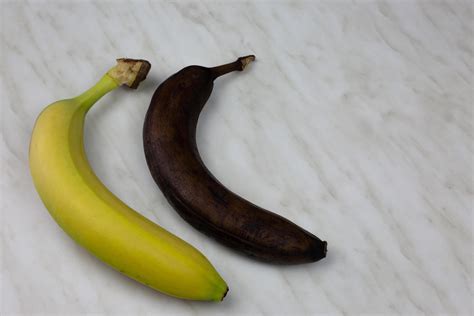 Comparison of fresh and spoiled banana 46460492 Stock Photo at Vecteezy