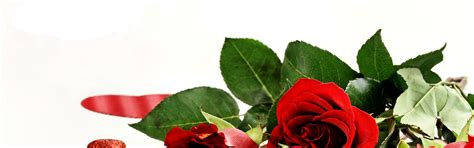 Download wallpaper romance, roses, red, Roses, Valentines Day, section ...