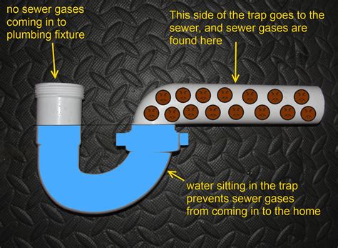 How To Stop Your Bathroom Drains From Smelling at Shirley Williams blog
