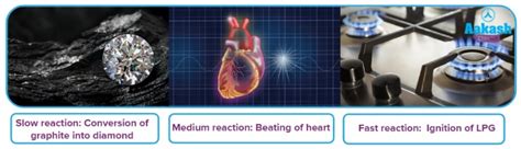 What is Rate Law: Definition, Expression & Equation | AESL