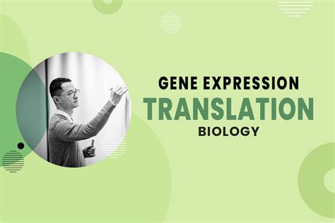 Image result for Translation Process Biology