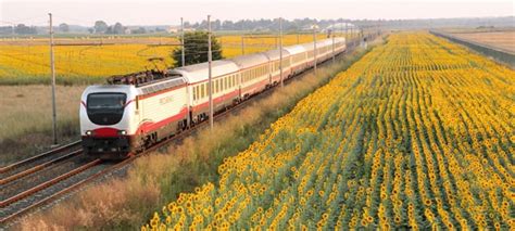 Olympics 的图像结果