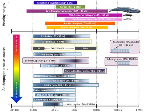 Have OSW sonar surveys caused many whales to die and wash up on ...