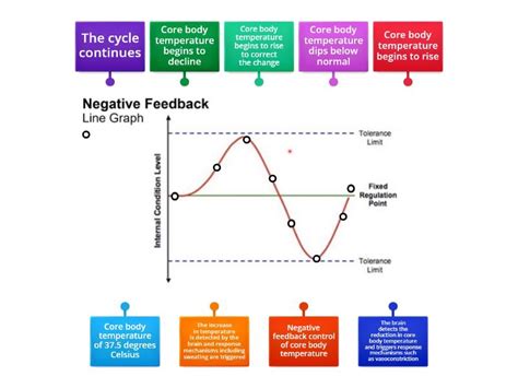 Image result for Negative Feedback Visual Aids