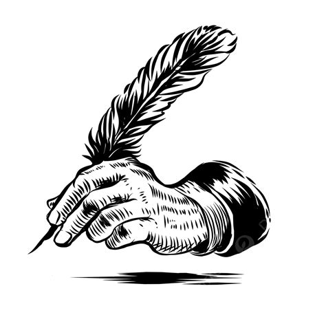 Line Art Write With Feather Pen, Feather Drawing, Pen Drawing, Feather Sketch PNG Transparent ...
