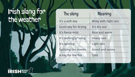 115 Irish Slang Words + Phrases (Local's 2025 Guide)