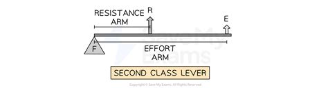 Example Of Second Class Lever Gcse Pe at Marcus Dacomb blog