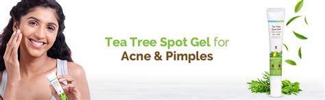 Mamaearth Tea Tree Spot Gel Pimple Removal Face Cream with Tea Tree ...