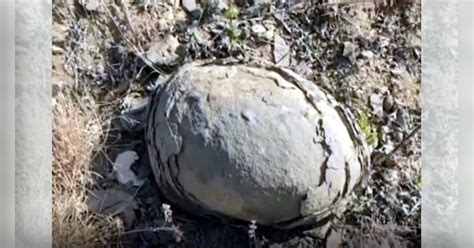 dinosaur egg barwani confirmation of dinosaur eggs after two year in ...