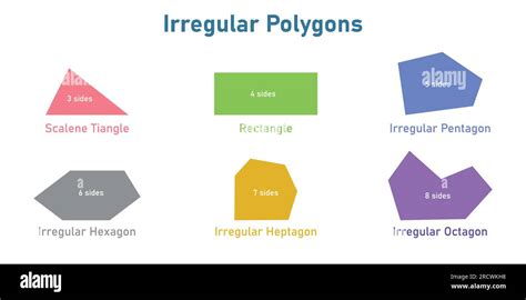 Polygon Shape 的图像结果