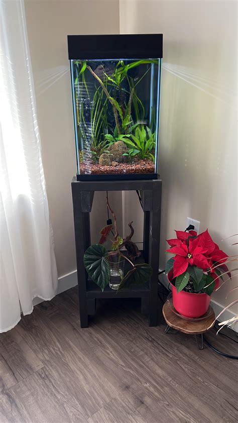 10 Gallon Tall : r/Aquariums