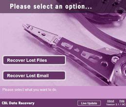 CBL Data Recovery 的图像结果