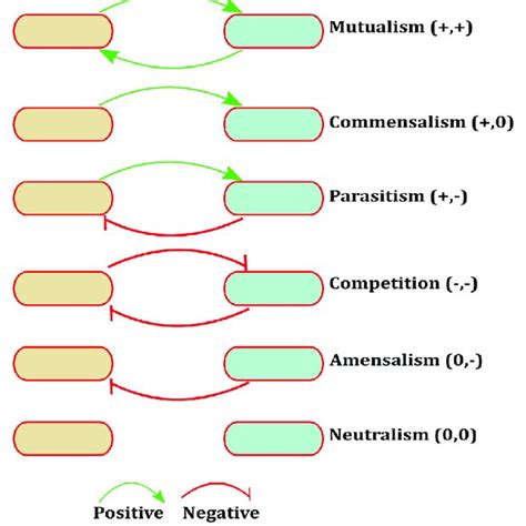 Different Types of Interaction 的图像结果