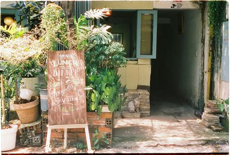 Image result for Scared Scratch Cat