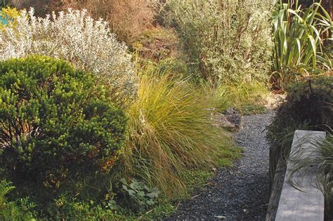 Native Plant Landscape Design 的图像结果