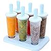 Buy Zollyss Round Shaped Popsicle Molds Set - 6 Pack Mold, BPA Free Ice ...