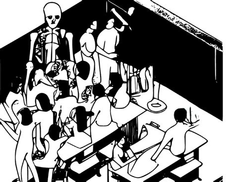 Virtual Dissection 的图像结果