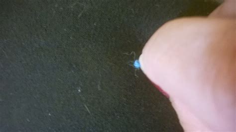 Image result for How to Thread a Needle Point Needle Using Yarn