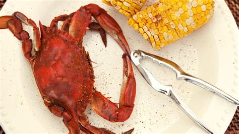 Bildergebnis für crab+and+lobster+pregnant