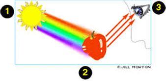 Image result for How Light Works