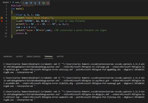 Debugging Tips for Coding C 的图像结果