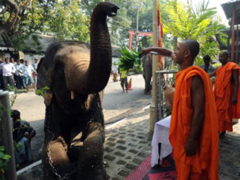 Holiday time in Sri Lanka, again | ESPNcricinfo