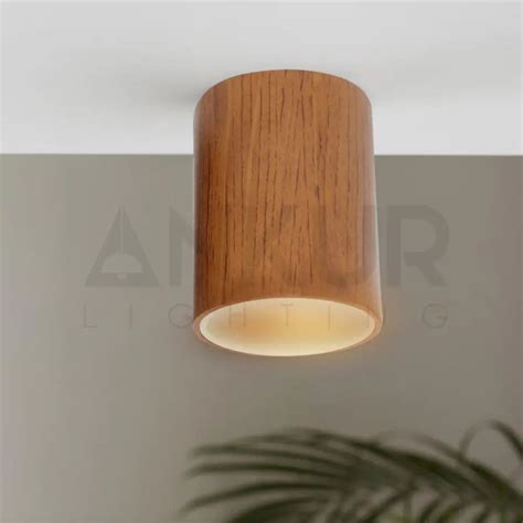 ANKUR GLITZ CYLINDRICAL SHAPE INDOOR CEILING MOUNTED SPOT LIGHT LED ...